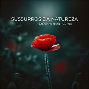 Sussurros da Natureza: Viagem ao Eu, Músicas para a Alma - Relaxantes Natureza Zona