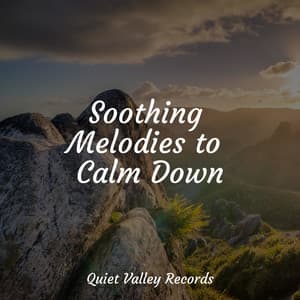 Soothing Melodies to Calm Down - Sounds Of Nature: Thunderstorm