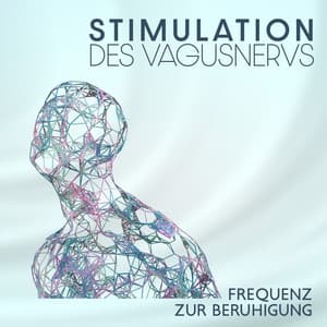 Stimulation des Vagusnervs: Frequenz zur Beruhigung, Heilung, Entspannung, Stressabbau , Beruhigung des Nervensystems, Nervenregeneration, Vagustonus, Musik für das parasympathische Nervensystem - Tiefenentspannung Oase