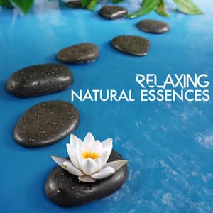 Relaxing Natural Essences - Nature Sounds Relaxing