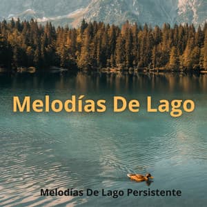 Melodías De Lago Persistente - Fondo de naturaleza y sonidos