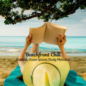 Beachfront Chill: Calming Ocean Waves Study Melodies - Waves Central