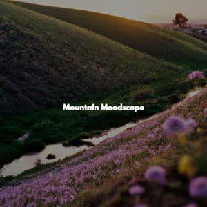 Mountain Moodscape - Cool Jazz Moods