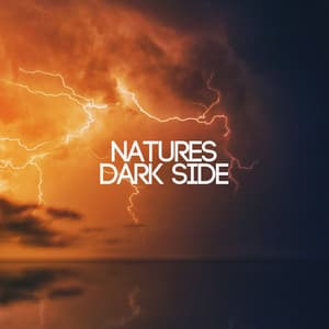 Natures Dark Side - Rain Radiance