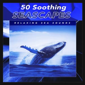 50 Soothing Seascapes - Relaxing Sea Sounds