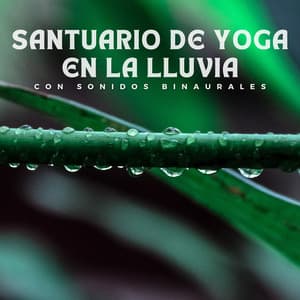 Santuario De Yoga En La Lluvia Con Sonidos Binaurales - Sonidos de Lluvia para Relajarse