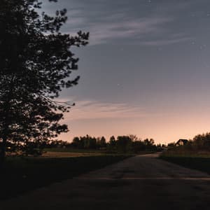 Relaxation Music| Chillout Sounds - Brain Study Music Guys