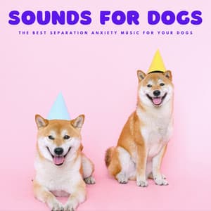 Sounds For Dogs: The Best Separation Anxiety Music For Your Dogs - Relaxing Dog Music Society