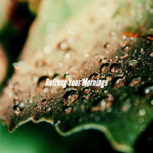 Refresg Your Mornings - Calm Dinner Music