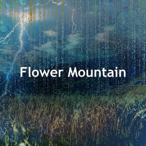 Flower Mountain - NREM
