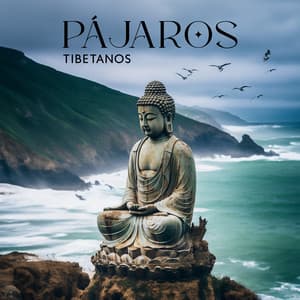 Pájaros Tibetanos: Música Budista con Pájaros Cantando para la Meditación - Academia de Música con Sonidos de la Naturaleza