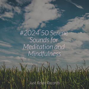 #2024 50 Serene Sounds for Meditation and Mindfulness - Musica de Relajación Academy