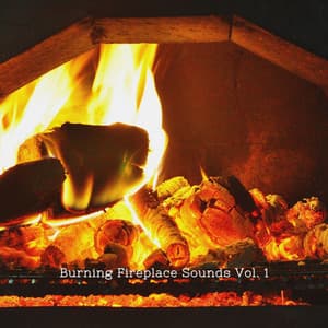 Burning Fireplace Sounds Vol. 1 - Deep Sleep Relaxation
