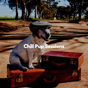 Chill Pup Sessions - Relajado Musica Relajante para Perros