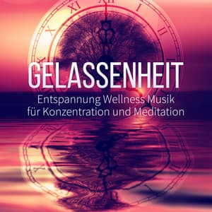 Gelassenheit: Entspannung Wellness Musik fur Konzentration und Meditation, Entspannungsmusik mit Naturgeräusche, Therapie Musik Erholung Spa - Wellness Entspannung Akademie