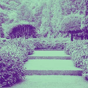 Lofi - Chill Hop Lofi Study Beats