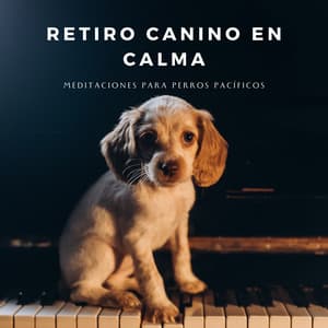 Retiro Canino En Calma: Meditaciones Para Perros Pacíficos - Ogablue