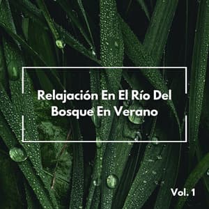 Relajación En El Río Del Bosque En Verano Vol. 1 - Sonidos de río