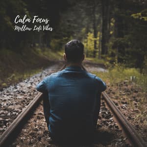 Calm Focus: Mellow Lofi Vibes - Hip-Hop Lofi Chill