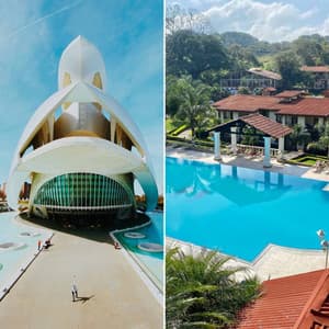 Bgm for Spring Flings - Sunday Morning Jazz Vibes