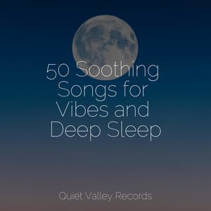 50 Soothing Songs for Vibes and Deep Sleep - White Noise Babies