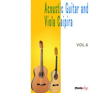 Acoustic Guitar and Viola Caipira, Vol.6 - Enúbio Queiroz