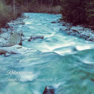 Relaxation: Songbirds by the Stream Vol. 1 - Relax My Cat