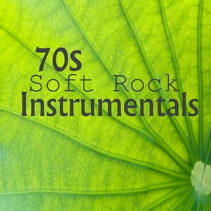 Oldies Songs: 70s Soft Rock Instrumentals - Relaxing Instrumental Players