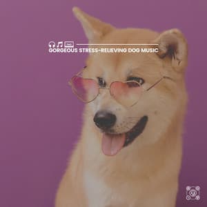 Gorgeous Stress-Relieving Dog Music - Dog Relaxation