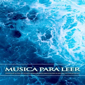 Musica para leer: Sonidos de las olas del océano y música relajante para el estudio, el enfoque y la concentración - Musica Para Leer