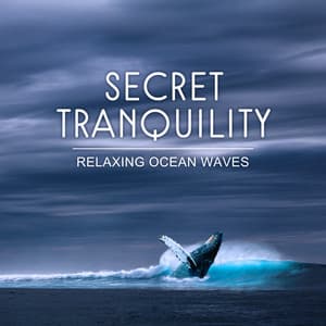 Secret Tranquility: Relaxing Ocean Waves, Seagulls, Whale and Ambient Music for Well - Calm Sea Ambient