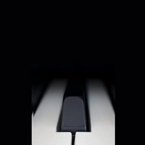 Piano Tranquility: A Journey Through Mindful Resonance - Little Piano Player