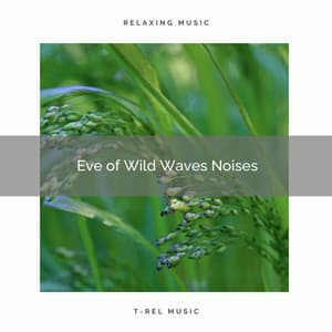 2020 Best: Eve of Wild Waves Noises - Nature Bird Sounds