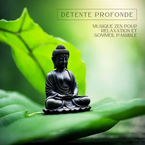 Détente Profonde: Musique Zen pour Relaxation et Sommeil Paisible - Musique Relaxante Relax