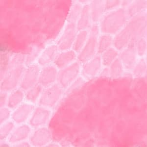 Trumpet Bossa - Ambiance for Upbeat Moods - Soft Alternative Lounge Jazz