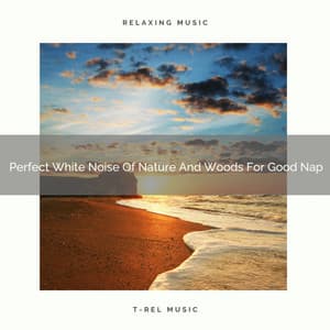 Perfect White Noise Of Nature And Woods For Good Nap - Noise Makers