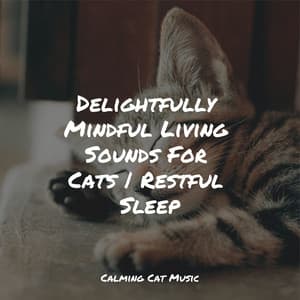 Delightfully Mindful Living Sounds For Cats | Restful Sleep - Relaxmycat