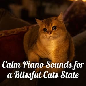 Calm Piano Sounds for a Blissful Cats State - Piano Cat