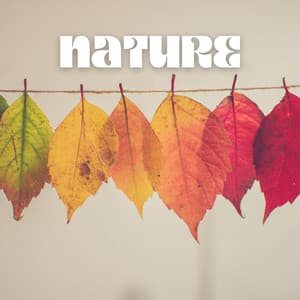 Nature - Lonely Ambition