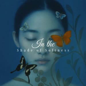 In the Shade of Softness, Blur Between - Meditate Now.