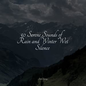 50 Serene Sounds of Rain and Winter Wet Silence - Sample Rain Library