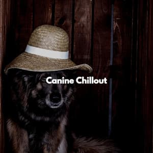 Canine Chillout - Dinner Music Luxury