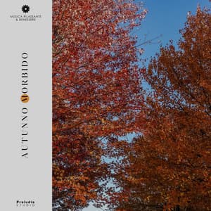 Autunno Morbido - Musica Rilassante & Benessere
