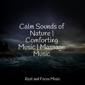 Calm Sounds of Nature | Comforting Music | Massage Music - Classical New Age Piano Music