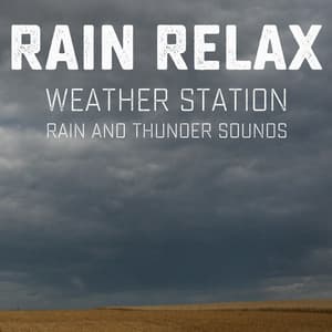 Weather Station: Rain and Thunder Sounds - Rain relax