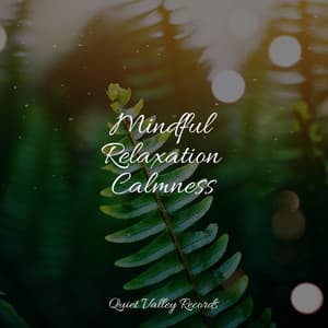 Mindful Relaxation Calmness - Pure Serenity Spa Music & Massage Collective Garden & Zen Relaxation Meditation