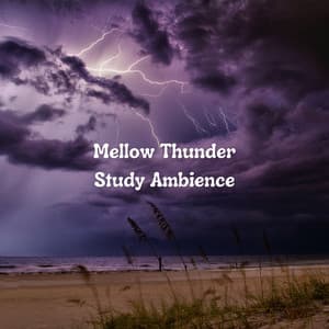 Mellow Thunder Study Ambience - Thunder etc.