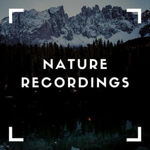Soothing Natures Sounds - Natural Sample Makers