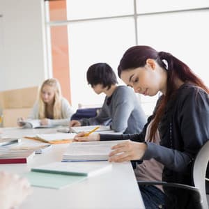 Harmony Intellect: Lofi Calming Study Mindscapes - Study Radiance