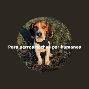 Para perros hechos por humanos - Soft Jazz Cafe